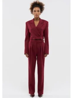 BENU Marynarka AW25 Bordowy Regular Fit