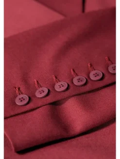 BENU Marynarka AW25 Bordowy Regular Fit