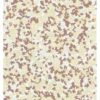Lancerto Poszetka PT090125000047.MIXCOLOR Beżowy