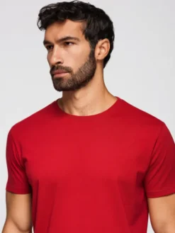 Ombre Komplet t-shirtów OM-TSBS-0268 Kolorowy Regular Fit