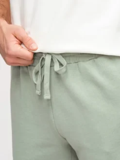 Ombre Szorty materiałowe OM-SRSK-0196 Zielony jasny Regular Fit