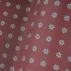 Pako Lorente Poszetka P25WF-HX-002 Bordowy