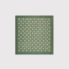 Pako Lorente Poszetka P25WF-HX-029 Zielony