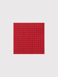 Pako Lorente Poszetka P25WP-HX-053 Czerwony