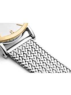 Pierre Ricaud Zegarek P22025.2153Q Srebrny
