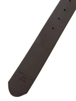 PITBULL Pasek Classic II Brązowy