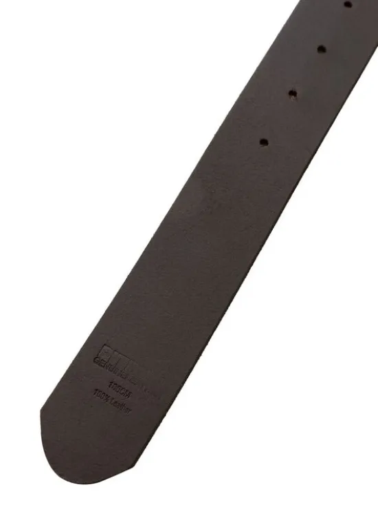 PITBULL Pasek Classic II Brązowy