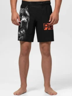 PITBULL Szorty sportowe BLACKY Czarny Regular Fit