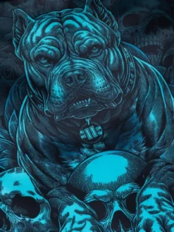 PITBULL Szorty sportowe GUARDIAN ANGEL Czarny Regular Fit