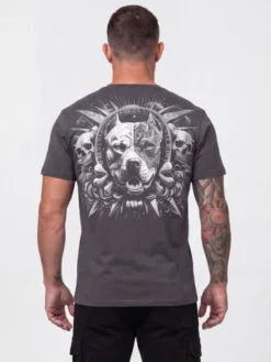 PITBULL T-Shirt PITBULL WORLD Szary Regular Fit