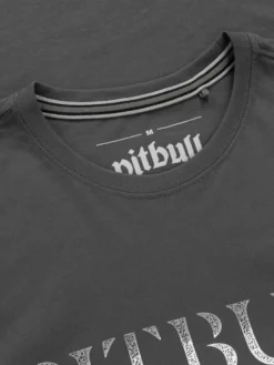 PITBULL T-Shirt PITBULL WORLD Szary Regular Fit