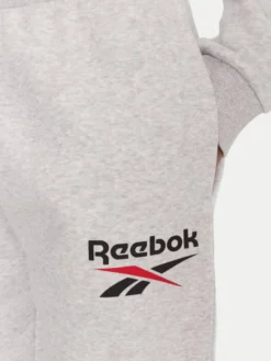 Reebok Spodnie dresowe Stacey RK25166CCW Szary Regular Fit