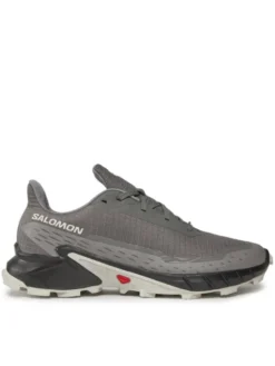 Salomon Buty do biegania Alphacross 5 473133 29 W0 Szary