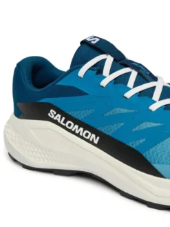 Salomon Buty do biegania Alphaglide L48000400 Niebieski