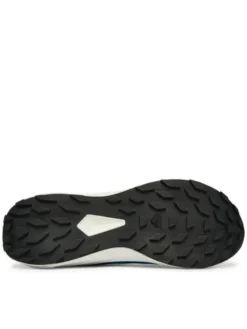 Salomon Buty do biegania Alphaglide L48000400 Niebieski