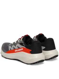 Salomon Buty do biegania Alphaglide Gore-Tex L47975300 Szary