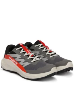 Salomon Buty do biegania Alphaglide Gore-Tex L47975300 Szary