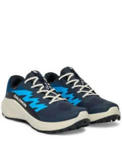 Salomon Buty do biegania Alphaglide Gtx L47975100 Niebieski