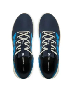 Salomon Buty do biegania Alphaglide Gtx L47975100 Niebieski