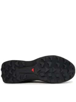 Salomon Buty do biegania Genesis 2 GTX L49300300 Czarny