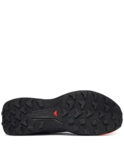 Salomon Buty do biegania Genesis 2 L49309100 Szary