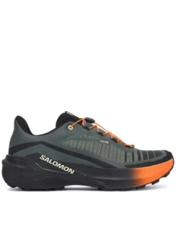 Salomon Buty do biegania Genesis 2 L49309100 Szary