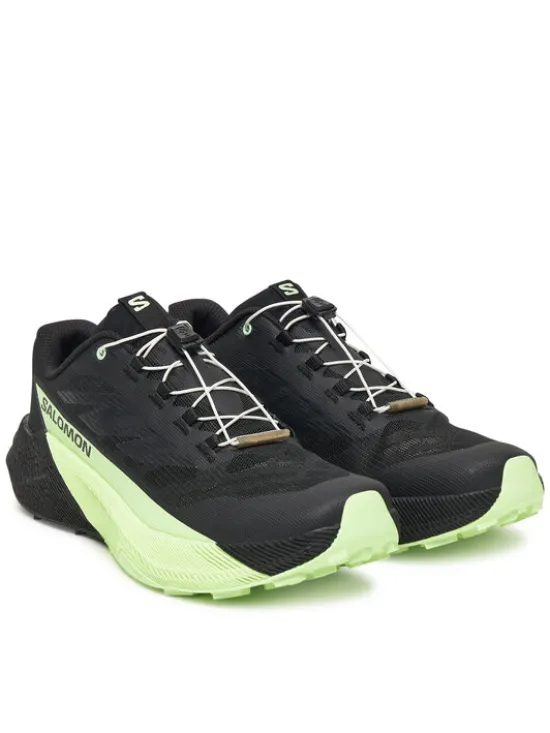 Salomon Buty do biegania Pulsar L47887800 Czarny