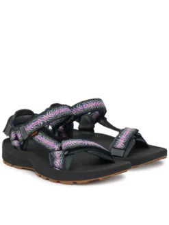 Teva Sandały Hydratrek Sandal 1150270 Kolorowy